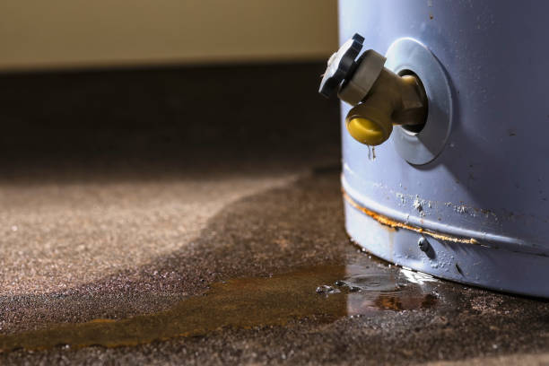 Best Commercial water damage restoration  in Farmington, NM