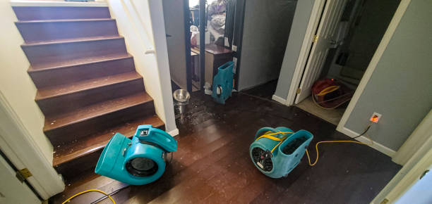 Best Water damage restoration specialists  in Farmington, NM