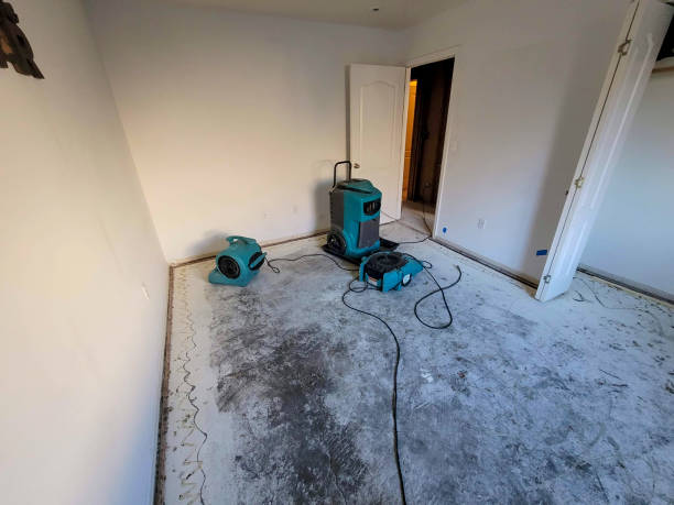 Best Flooded house restoration  in Farmington, NM