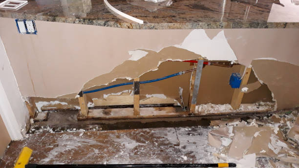 Best Flood restoration services  in Farmington, NM