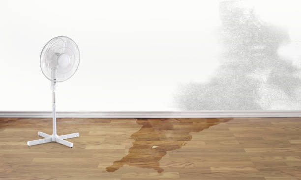 Best 24-hour water damage restoration  in Farmington, NM