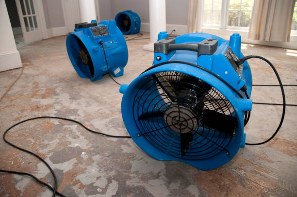 Best Water damage restoration insurance claims  in Farmington, NM