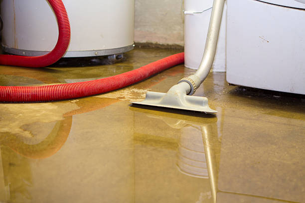  Farmington, NM Water damage restoration Pros