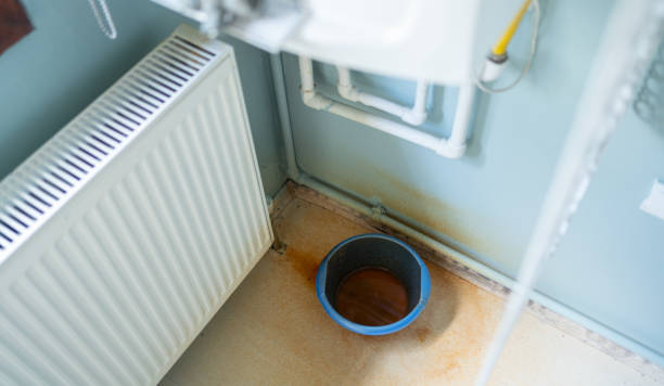 Best Local water damage restoration  in Farmington, NM
