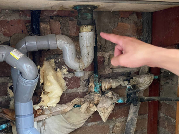 Sewage cleanup and water damage restoration in NM