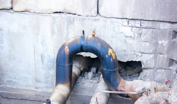 Best Mold removal after water damage  in Farmington, NM