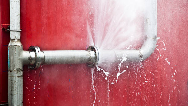 Best Ceiling water damage repair  in Farmington, NM